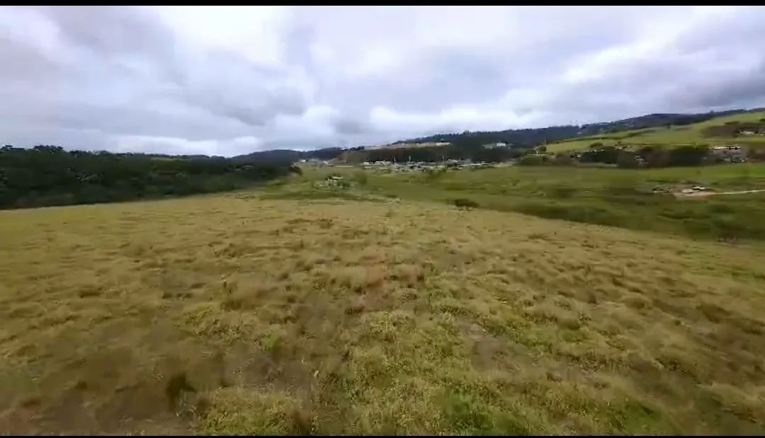 Área à venda - 302.500m² - 12 Alqueires  - Foto 5