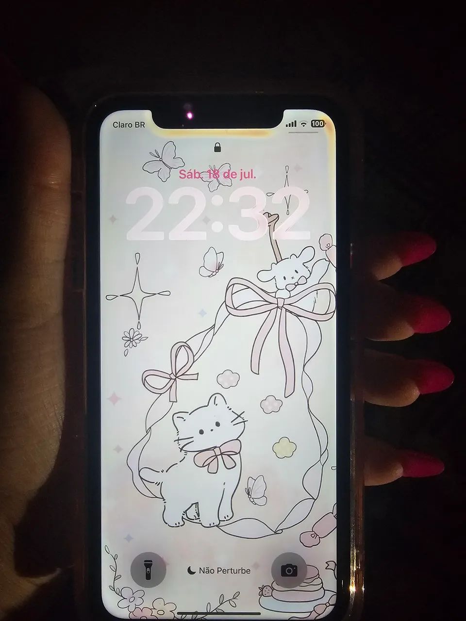 IPHONE 11 (FUNCIONANDO PERFEITAMENTE)