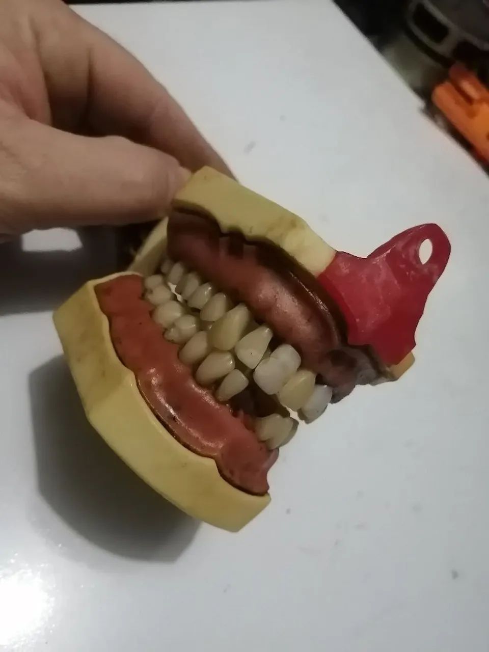 Prótese dentária antiga de estudo! - Foto 5