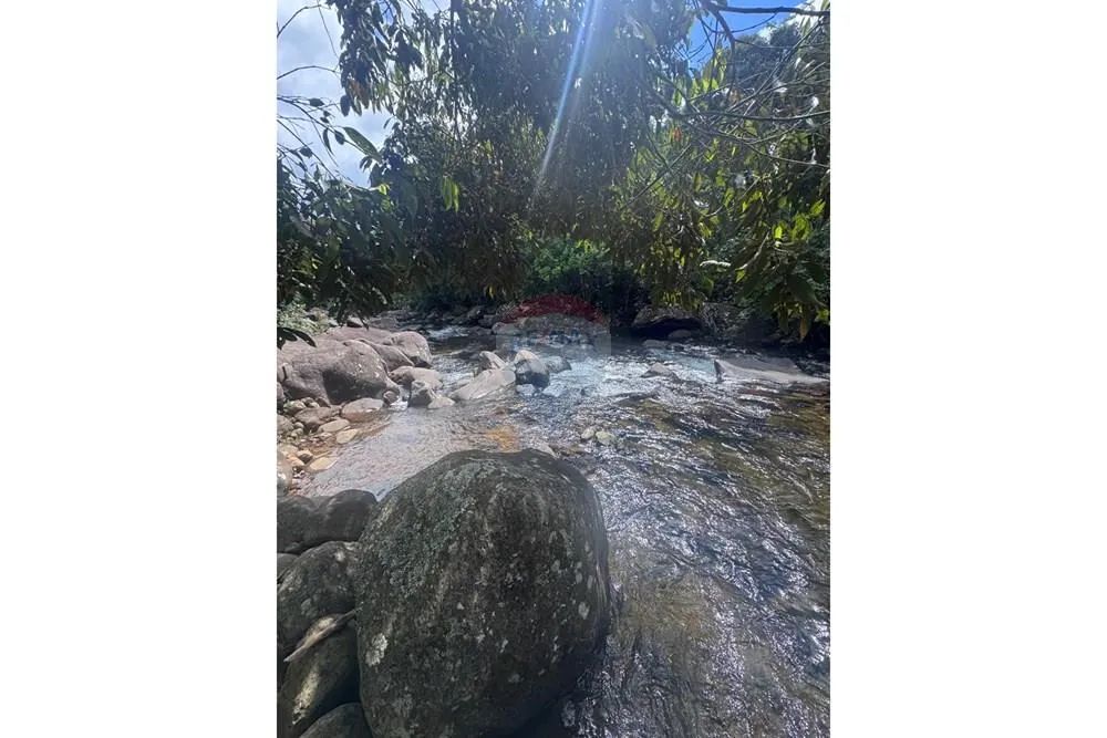 Terreno - Pedra Roxa - Foto 2