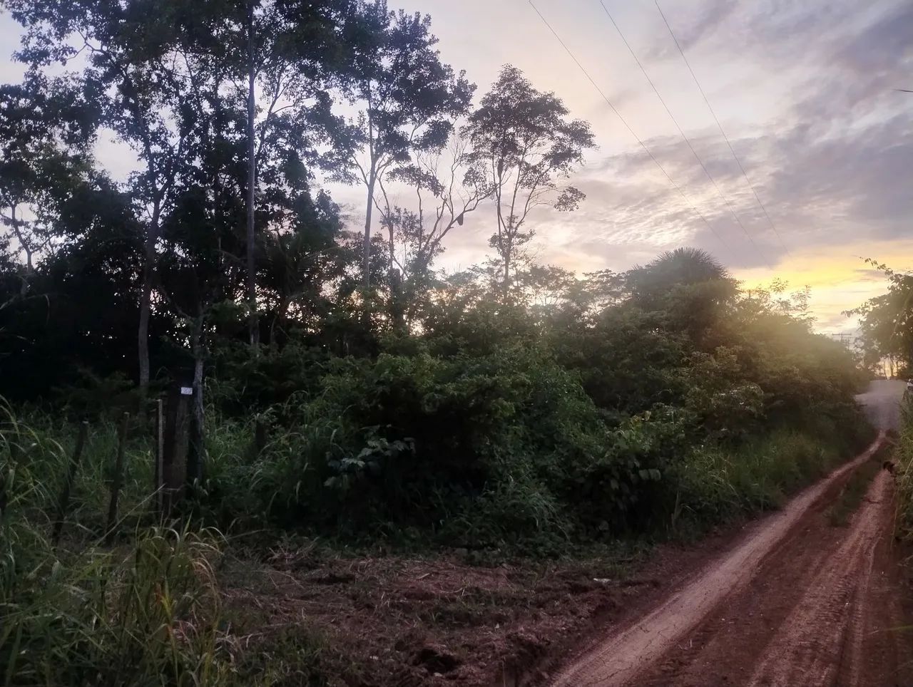 Terra a venda - Foto 2