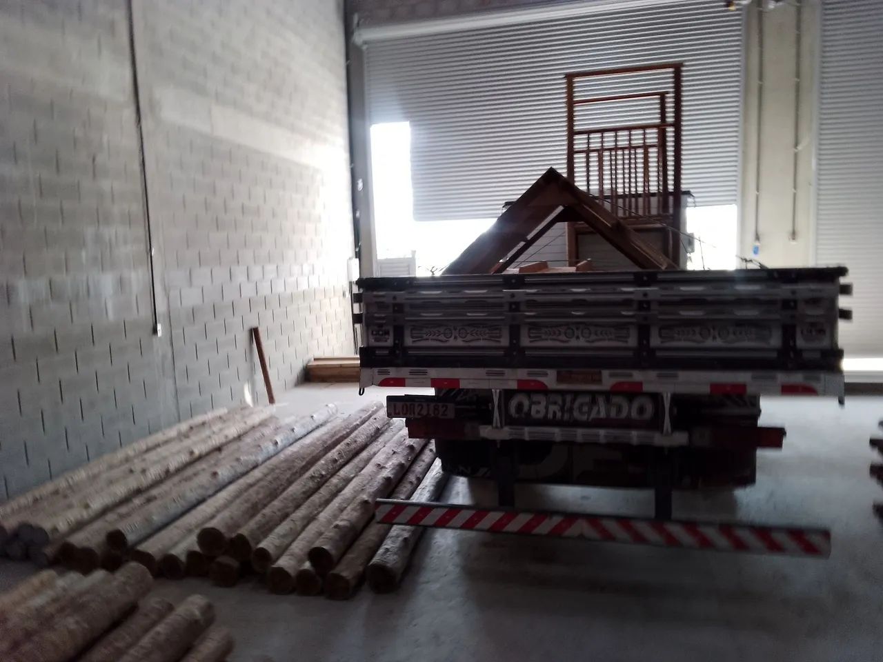 Eucalipto  - Foto 3
