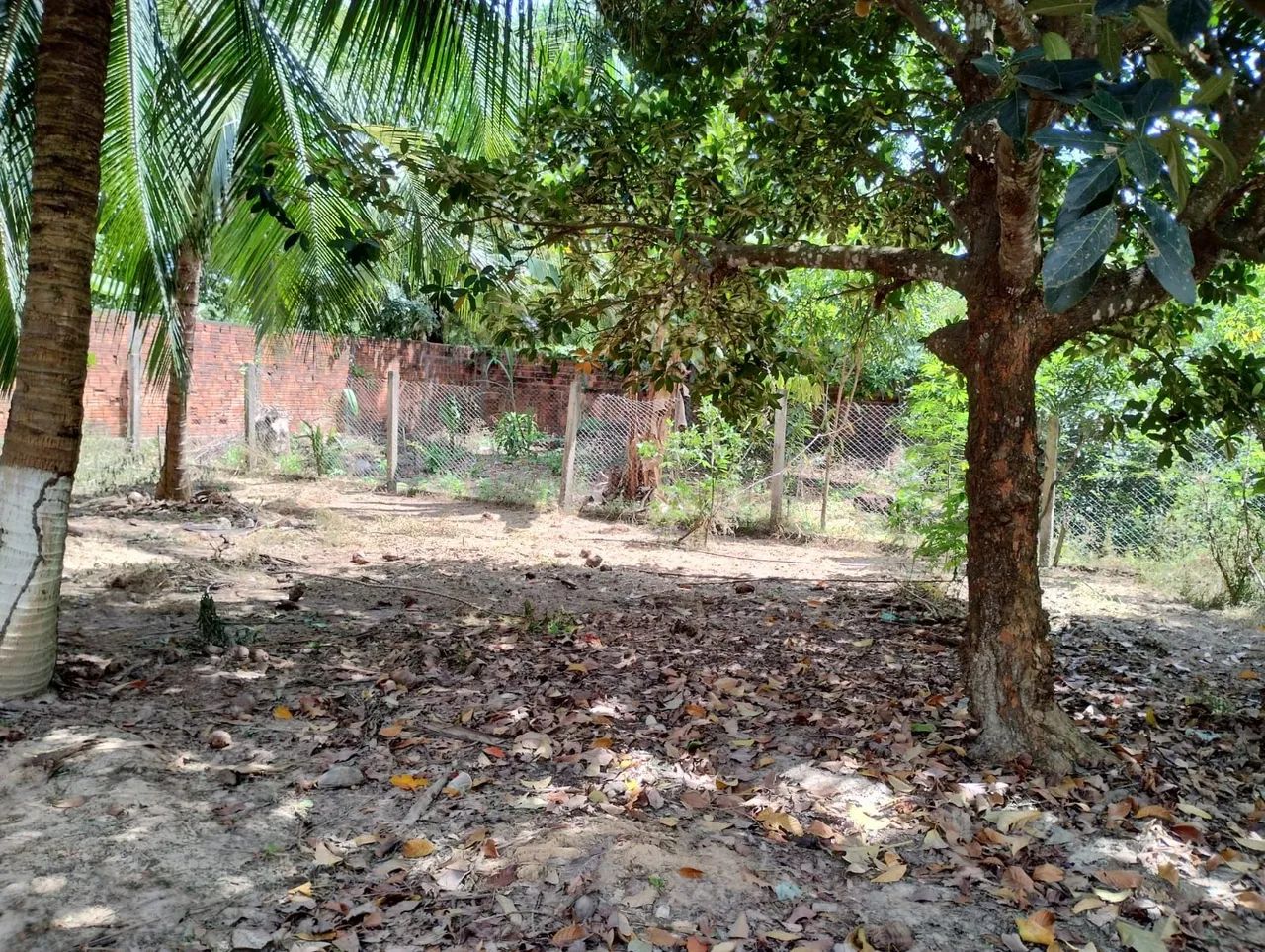 Vendo um sitio com uma excelente área 2.730 m2 - Foto 3