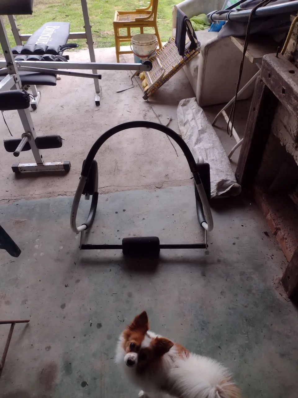 Aparelho de musculação  - Foto 5