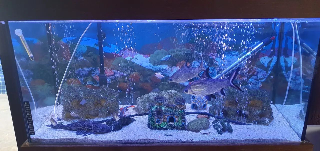 Aquario 200 litros - Foto 4