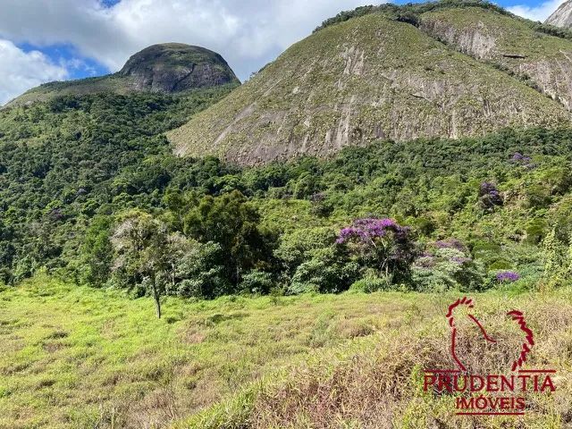 Terreno - Venda - Cardinot, Nova Friburgo - RJ - Foto 2