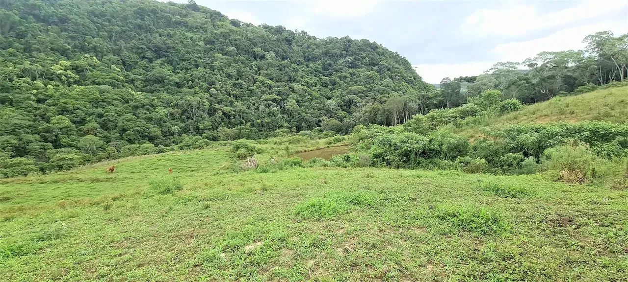 Sítio com 36.000 m² com belo rio - Alfredo Wagner - SC - Foto 3