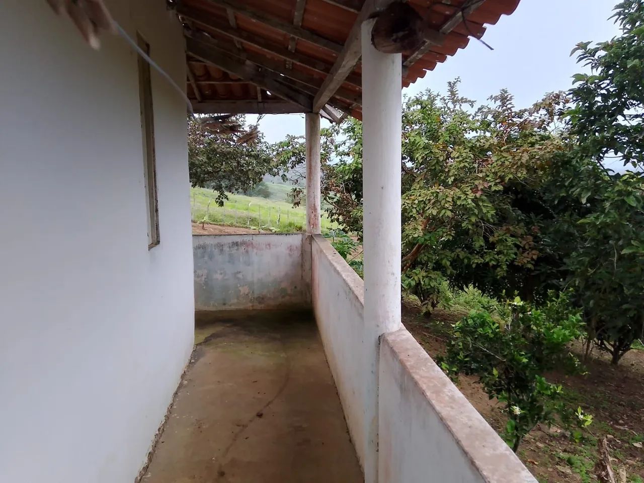 sitio a venda  - Foto 4