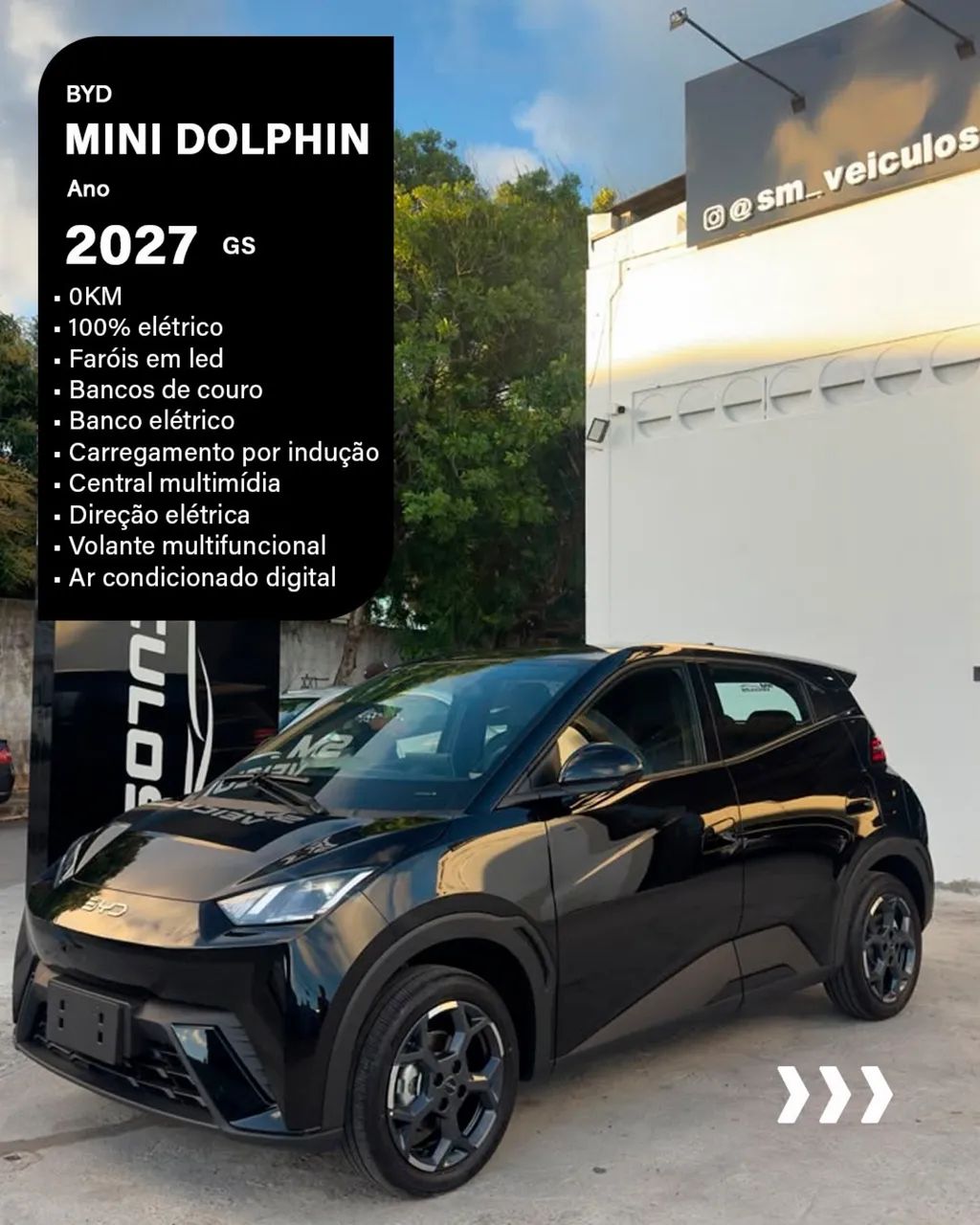 BYD Dolphin GS (Elétrico) 2027