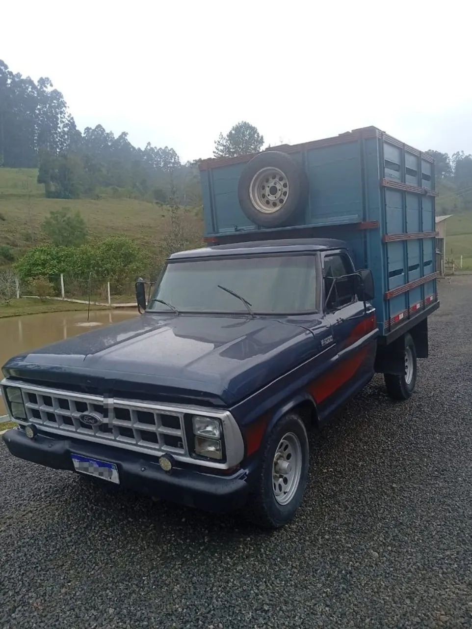 Ford F-1000 S. S. Diesel / S.s. Diesel Turbo 1981