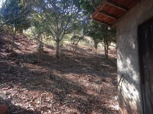 chácara 3000 m2 - Foto 4