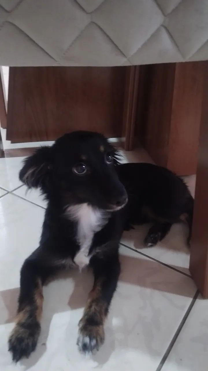 Doação 