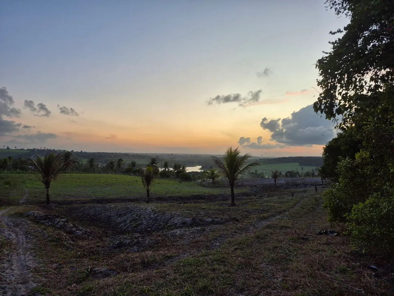 Granja em Alhandra - Foto 5