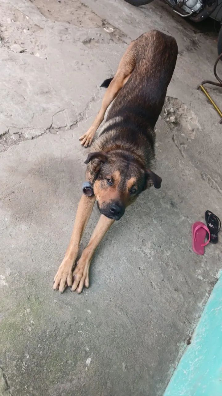 Doação  - Foto 2