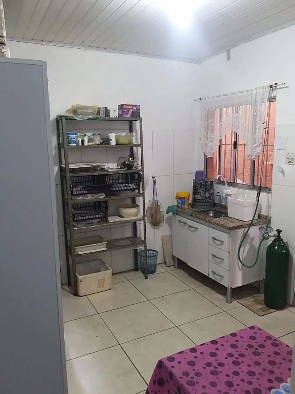 Distribuidora de Acessorios e Peixes Ornamentais, Nacionais e Importados
