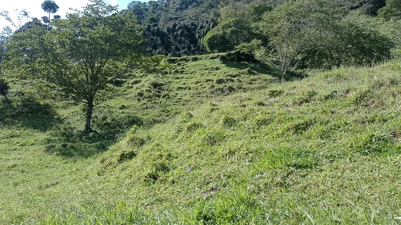 Chácara com 30.000 m em Pedralva MG
