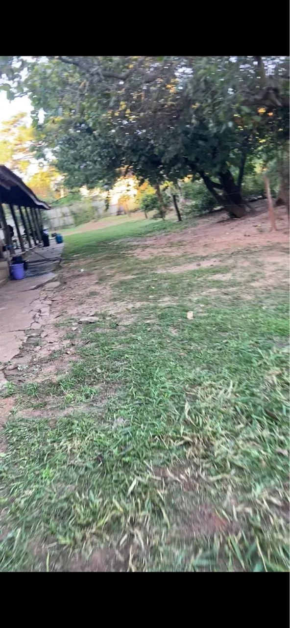 Jardinagem  - Foto 5