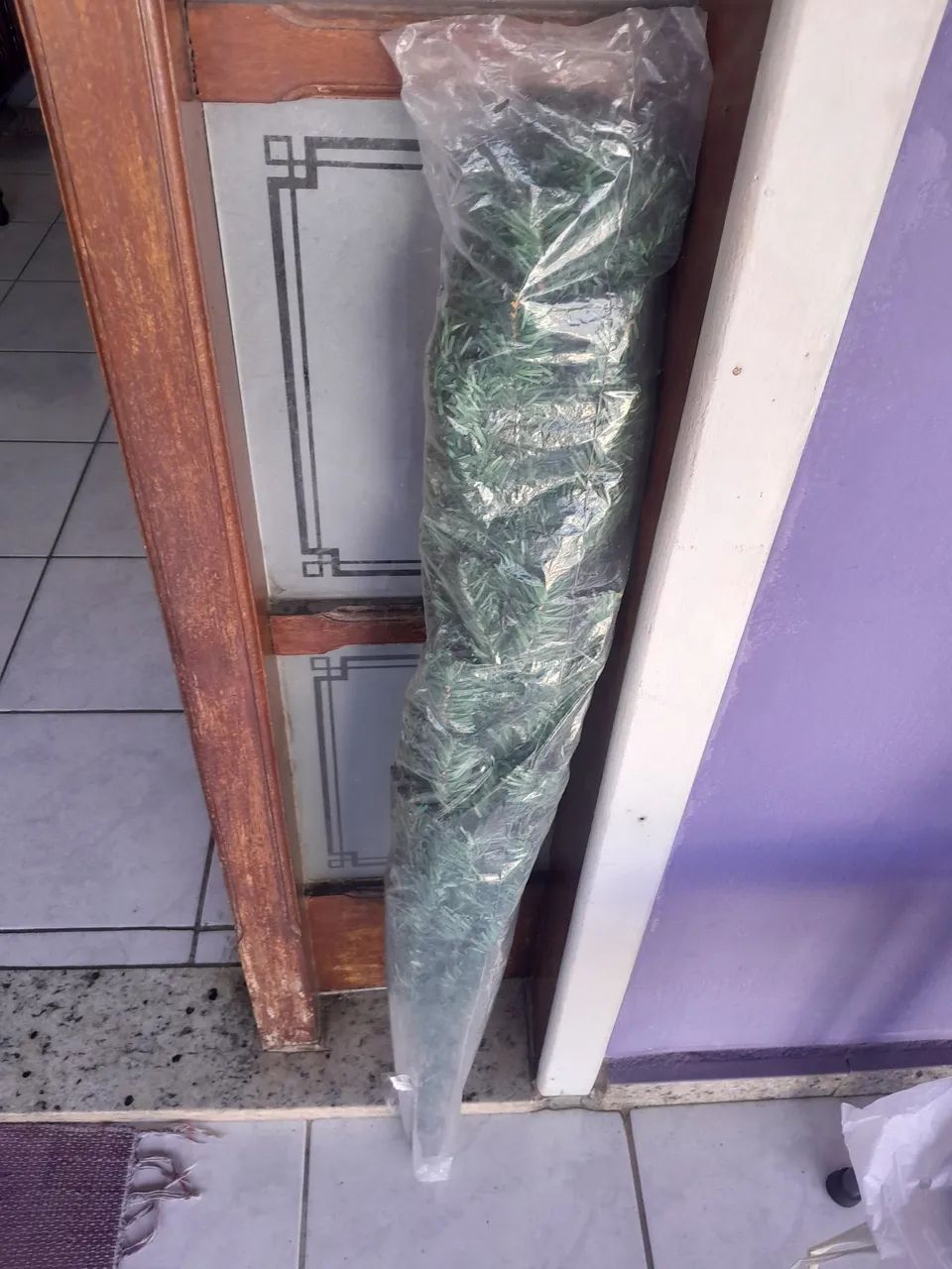 Avore de natal - Foto 2