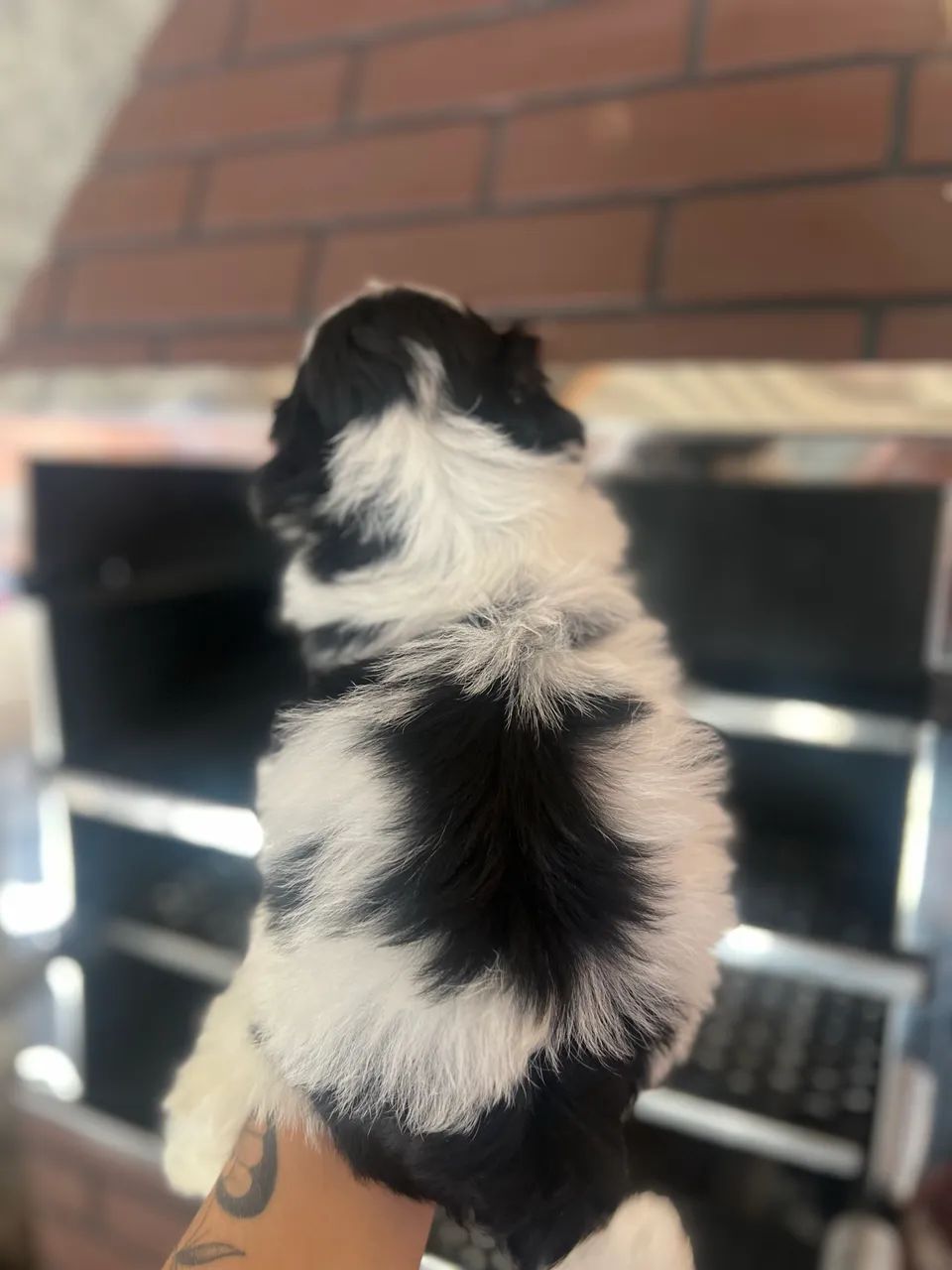 Vendo  - Foto 4