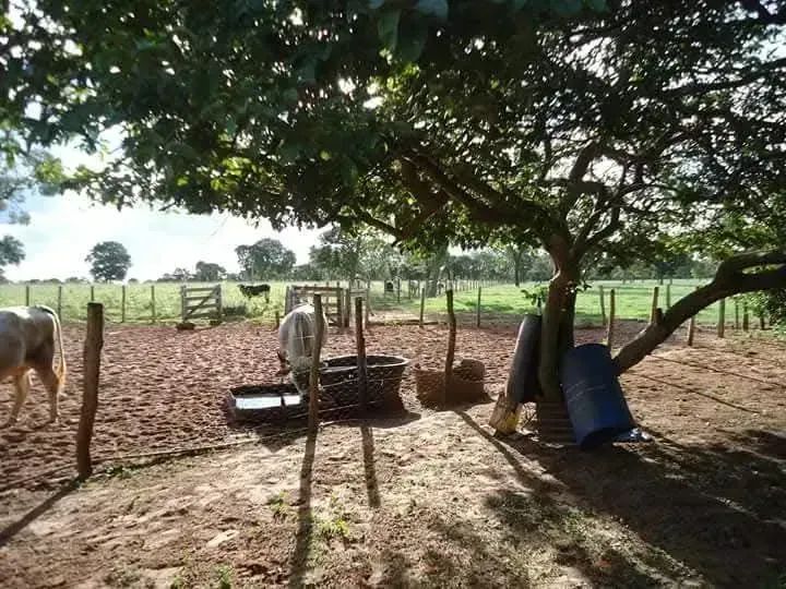 Chacára de 23 HA em CG/MS