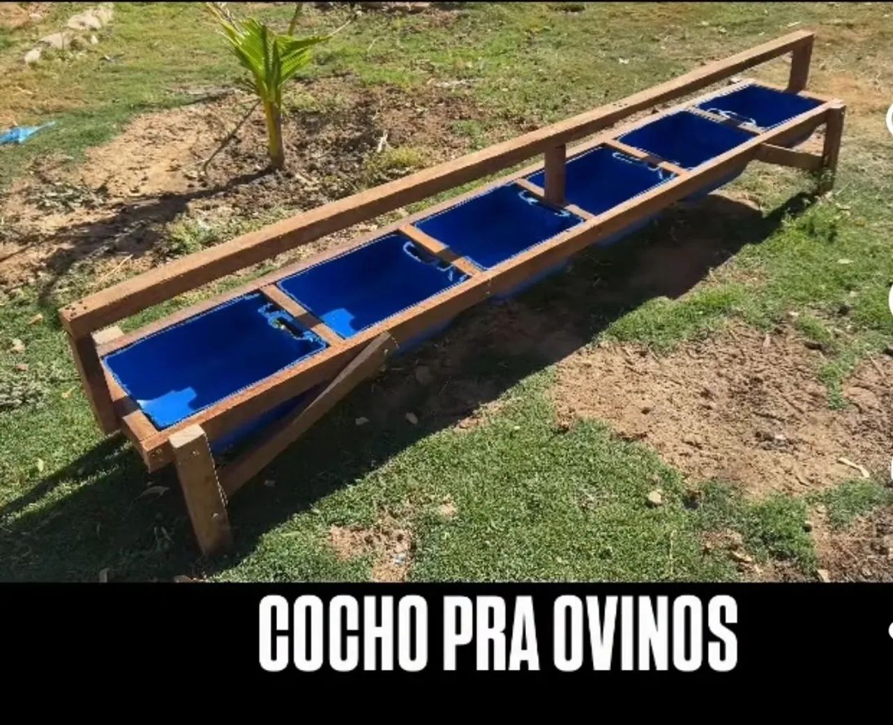 COCHO PARA OVINOS