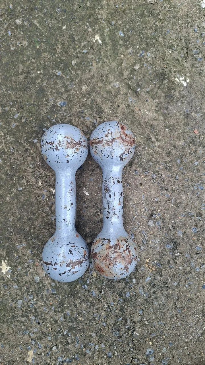 Par de alteres 2kg cada 