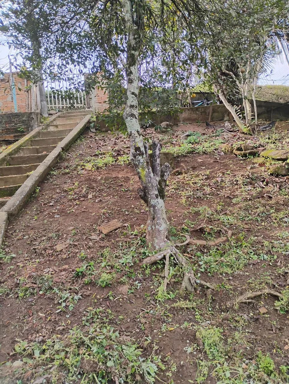 Terreno com casa de madeira  - Foto 4