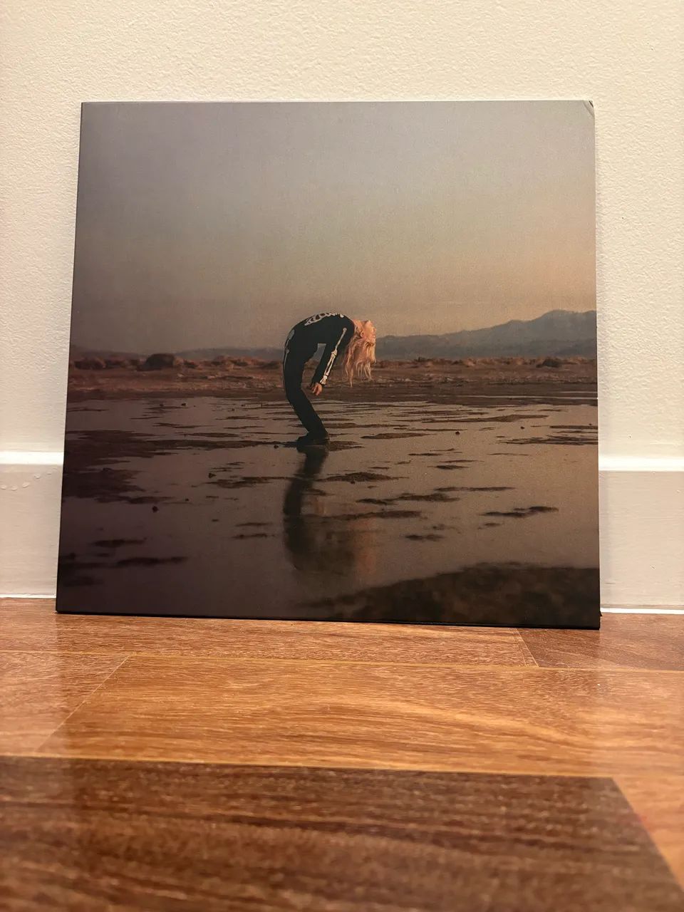 Vinil Copycat Killer - Phoebe Bridgers 