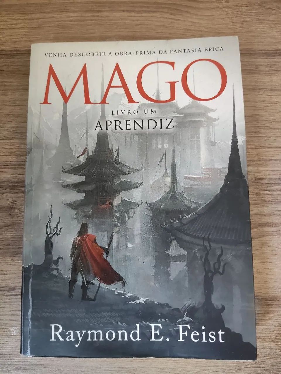 Mago aprendiz livro 1