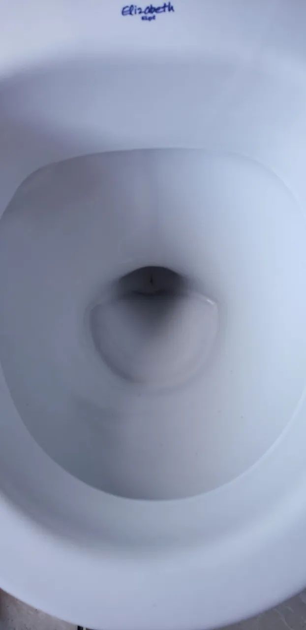 Vaso sanitário  - Foto 3
