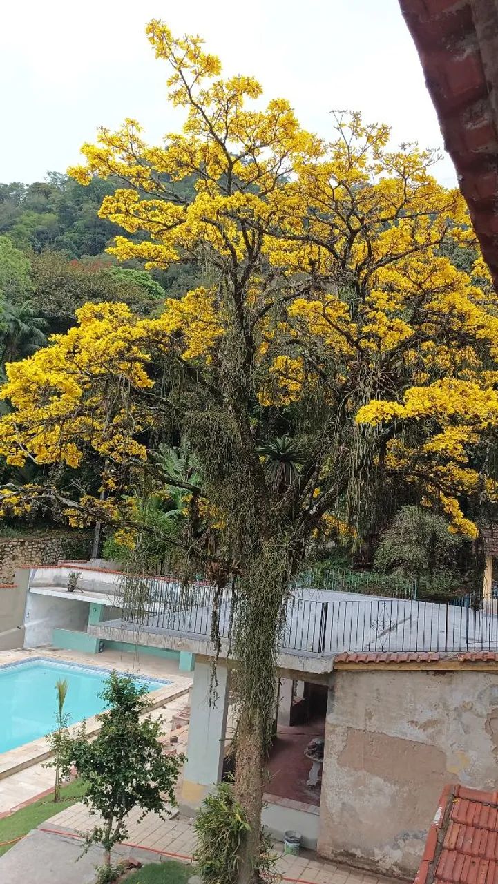 Belíssimo sítio  - Foto 3