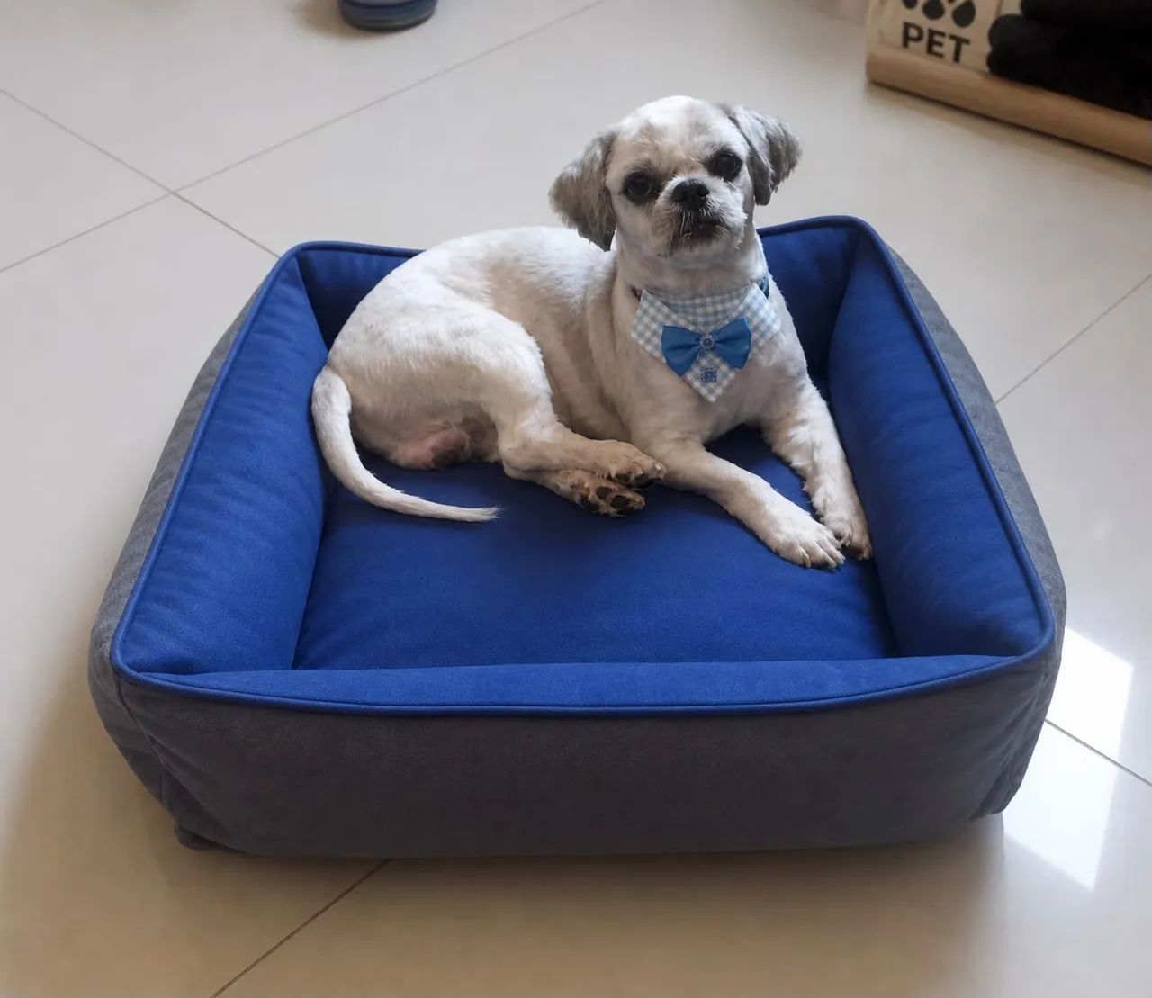 Cama para cachorro - Foto 3