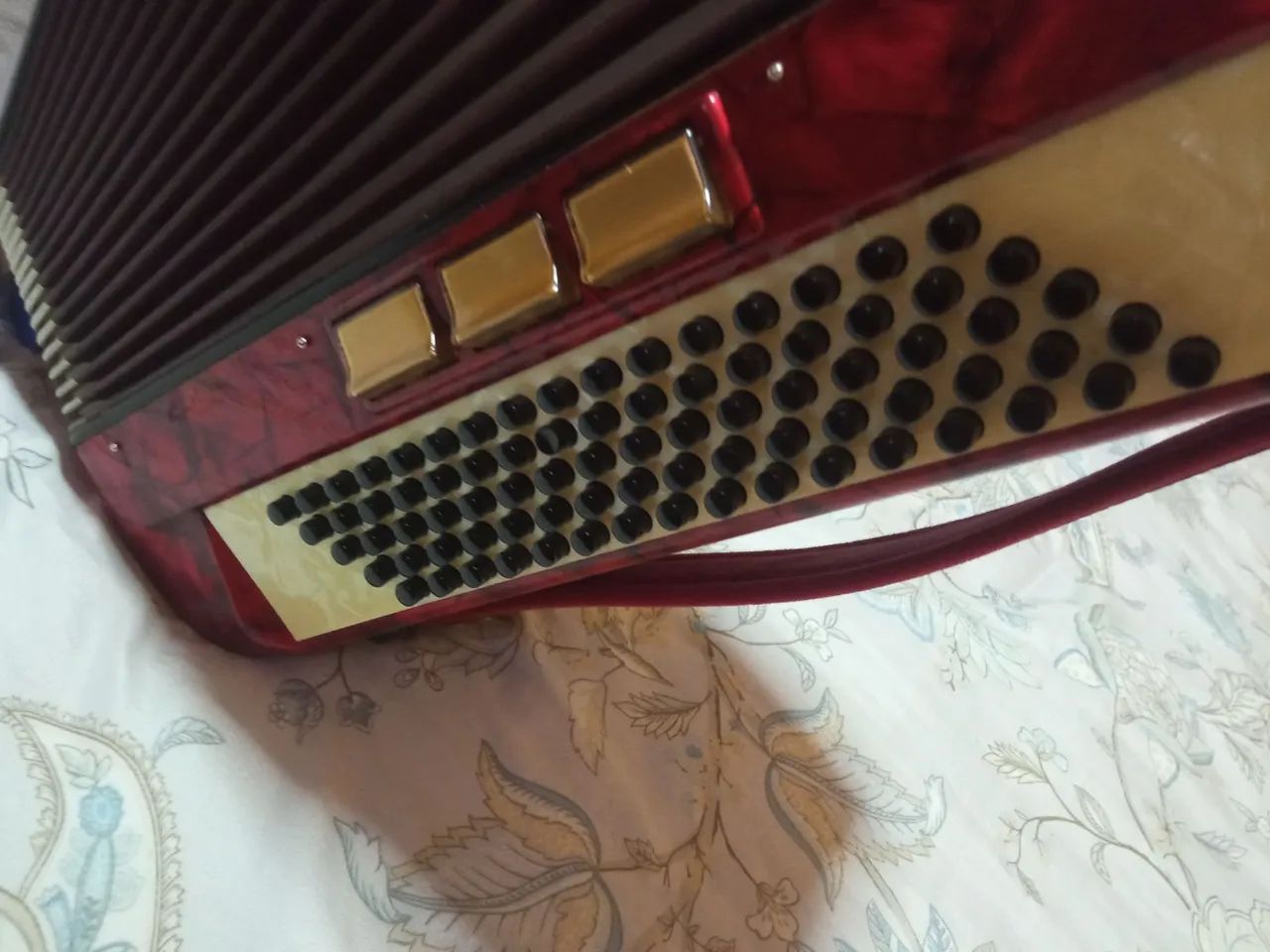 Desapego desta acordeon bem conservada  - Foto 4