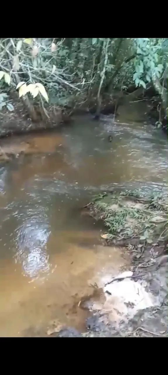 Vendo ou permuto 4 hectares com Rio!! 