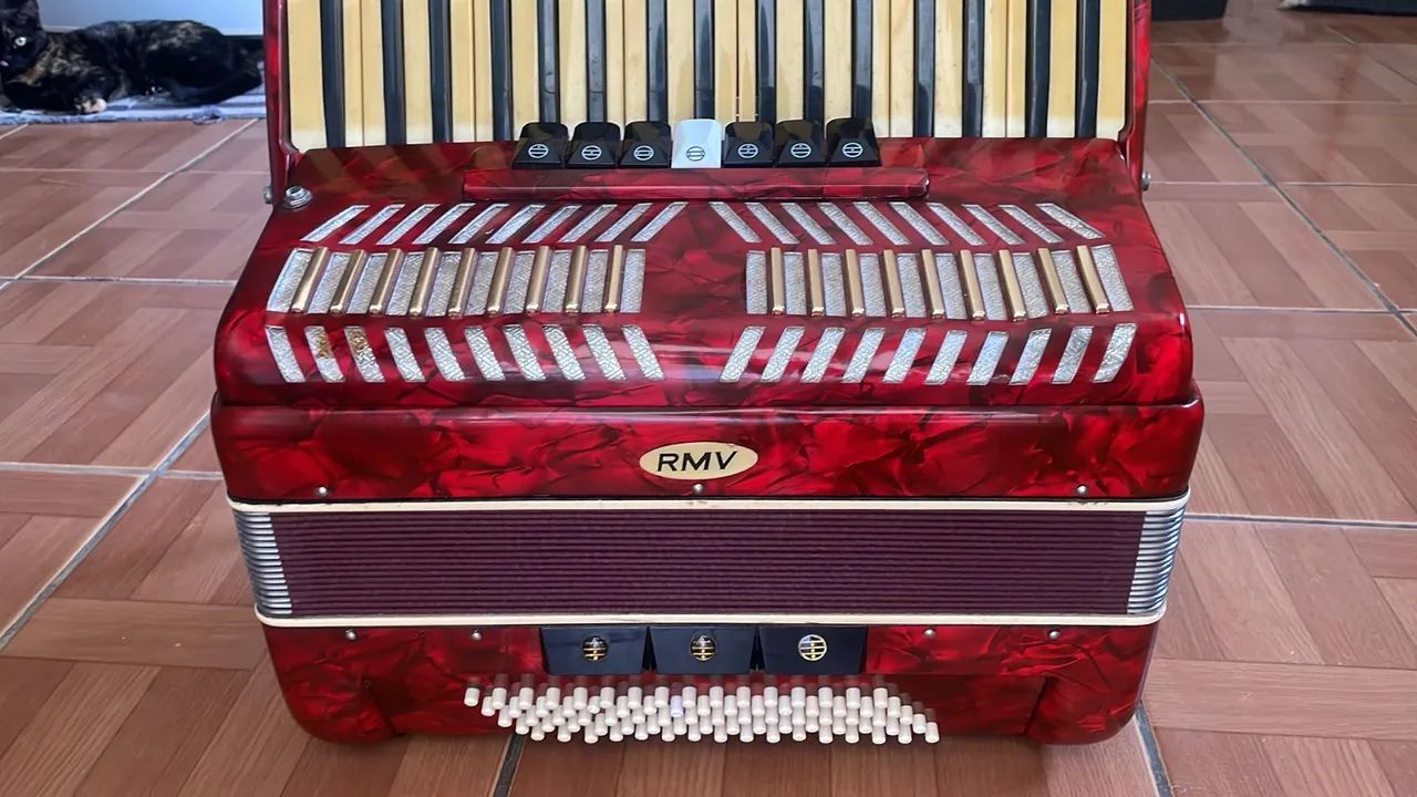 Acordion 80 baixos, electrocutada.4,000$