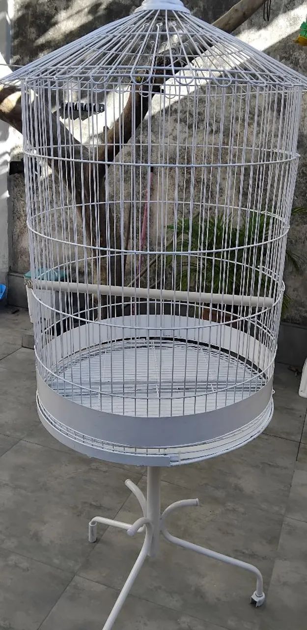 Viveiro/ gaiola.65093396965251122