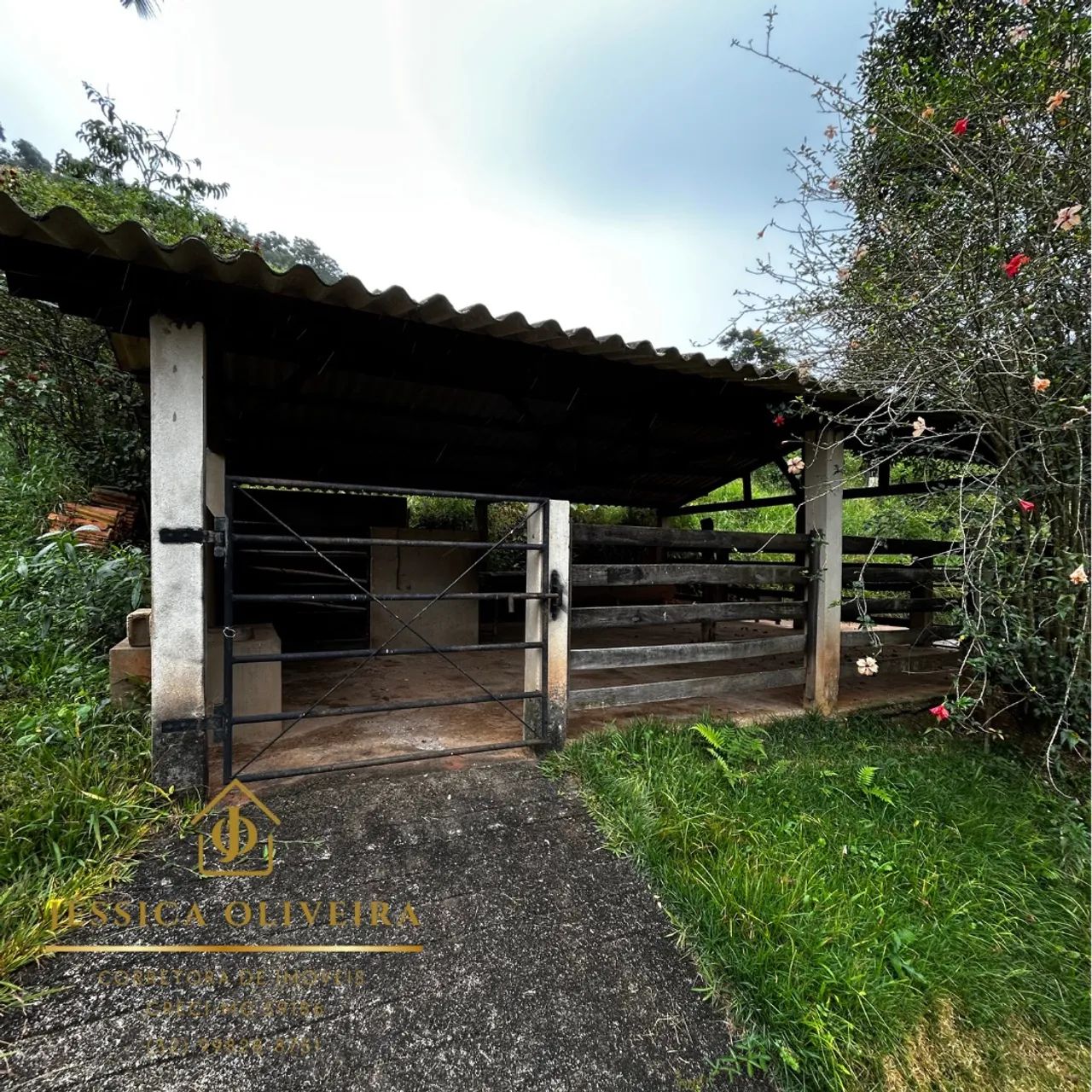 Sítio à Venda em Olaria- MG  - Foto 5