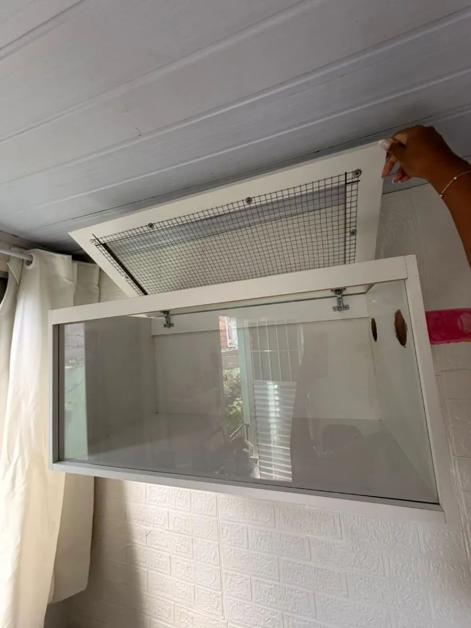Terrário Hamster