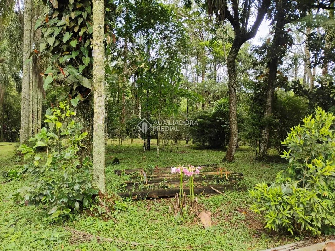 Chácara à venda no Jardim Mar Lune, SP - Foto 3