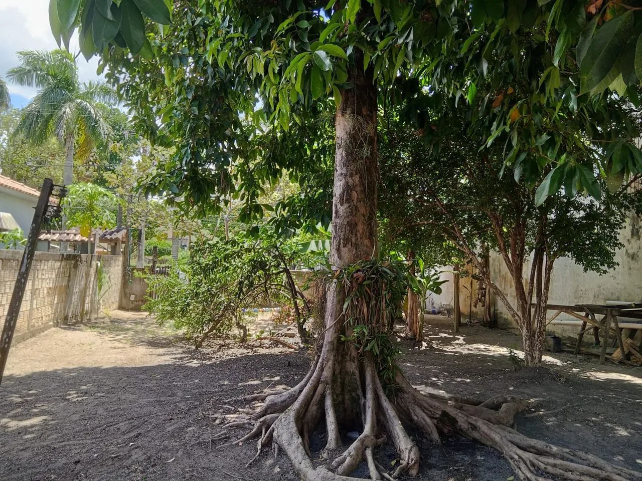 Vendo imóvel em Silva Jardim RJ.  - Foto 3