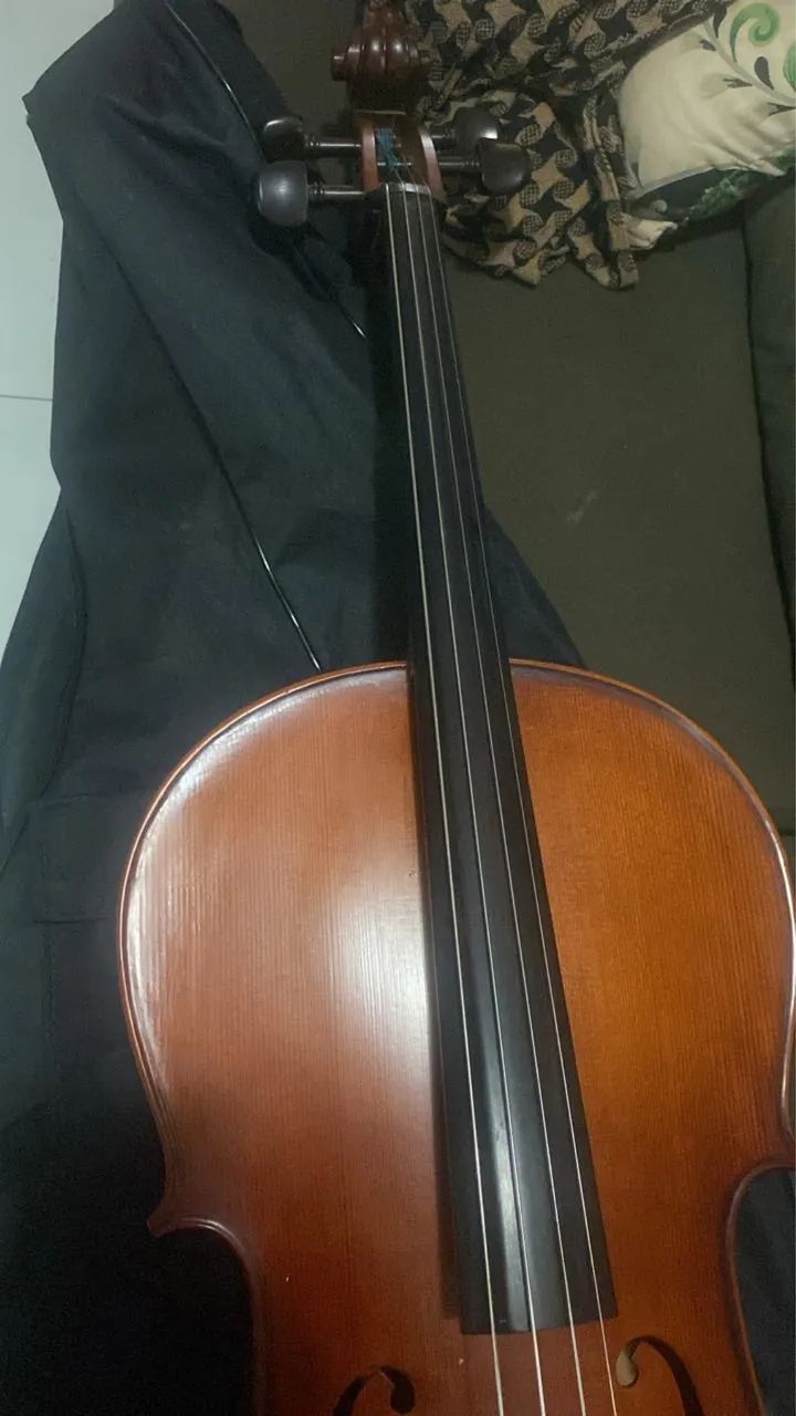 Violoncelo 4/4 Eagle CE300. - Foto 3