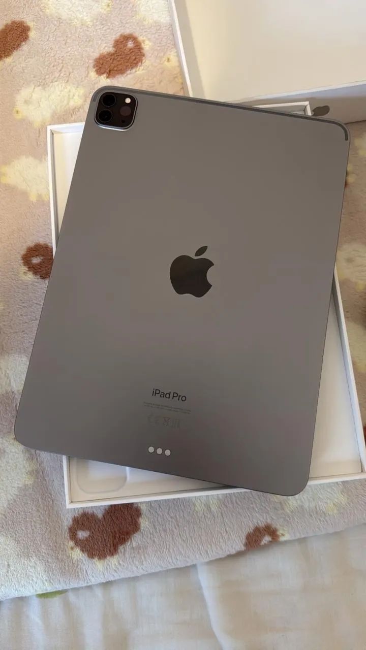 iPad Pro 11 M1 256gb