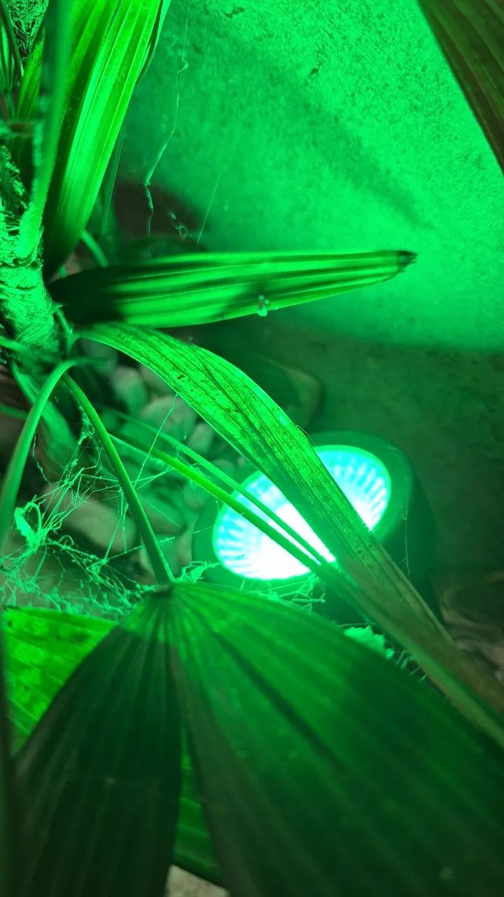 Eletricista - Foto 4