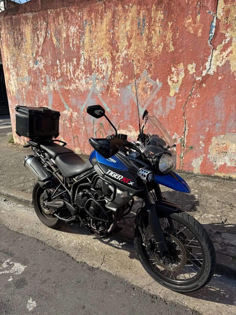 TIGER XCX 2018