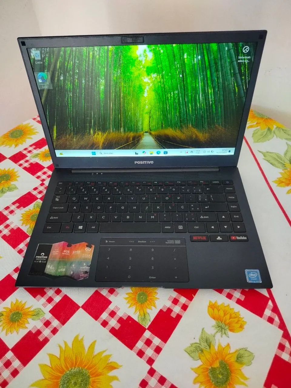 Notebook positivo 