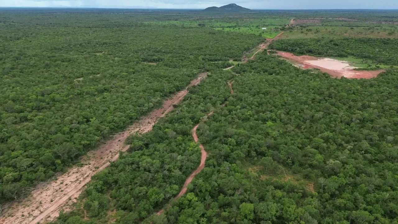 Fazenda no Tocantins  - Foto 5
