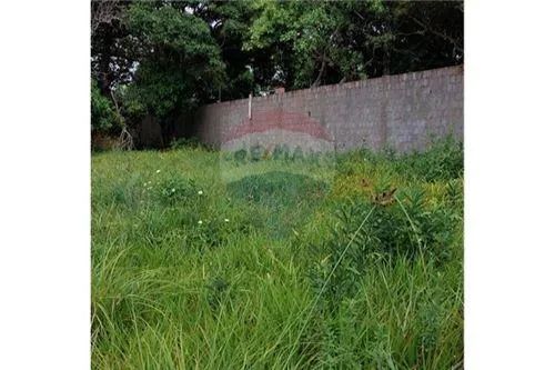 Excelente terreno (chacará) próximo a Massagueirinha - Foto 8