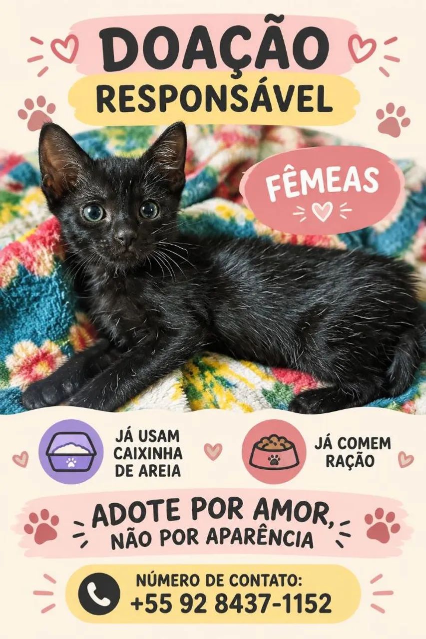 Adoção 