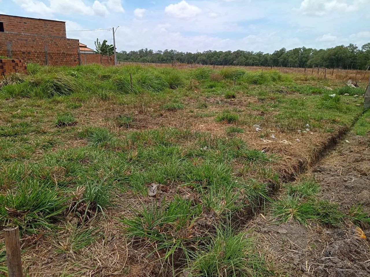 Terreno à venda  - Foto 5