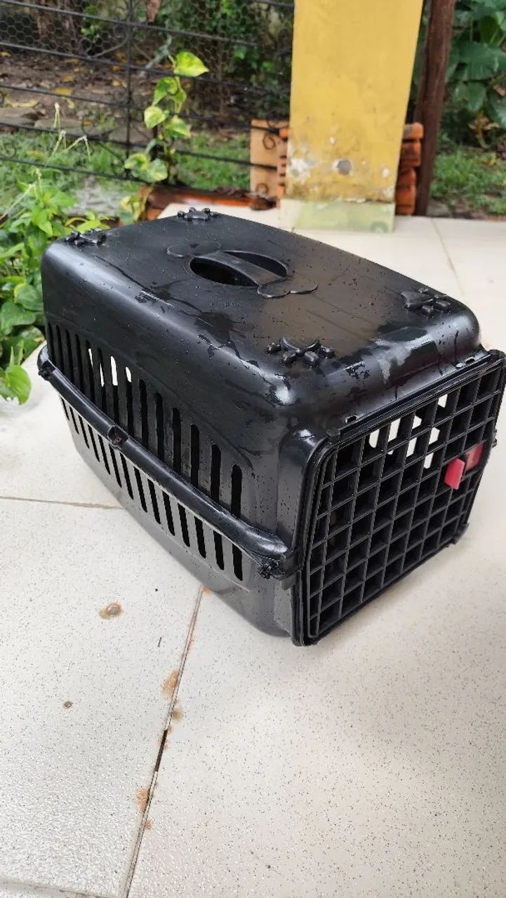 Caixa de transporte n 4 para cães e gatos